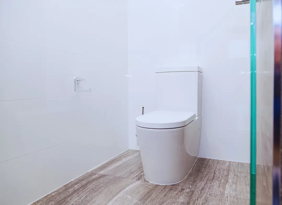 Remplacement de wc Portet-sur-Garonne